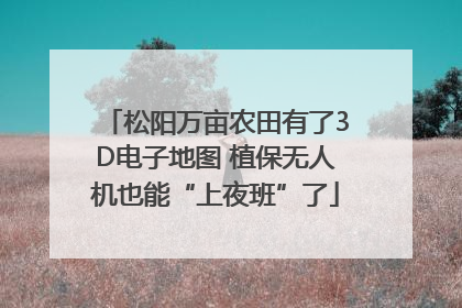 松阳万亩农田有了3D电子地图 植保无人机也能“上夜班”了