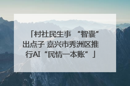 村社民生事 “智囊”出点子 嘉兴市秀洲区推行AI“民情一本账”