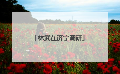 林武在济宁调研