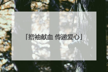 撸袖献血 传递爱心
