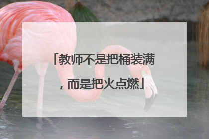 教师不是把桶装满，而是把火点燃