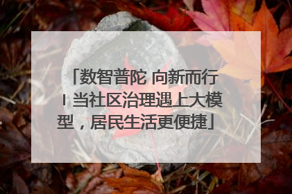 数智普陀 向新而行〡当社区治理遇上大模型，居民生活更便捷