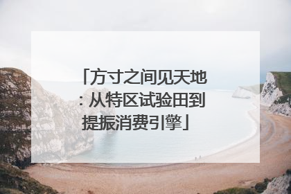 方寸之间见天地：从特区试验田到提振消费引擎