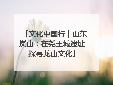 文化中国行｜山东岚山：在尧王城遗址探寻龙山文化