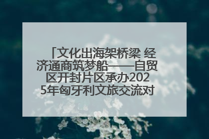 文化出海架桥梁 经济通商筑梦船——自贸区开封片区承办2025年匈牙利文旅交流对接活动专场