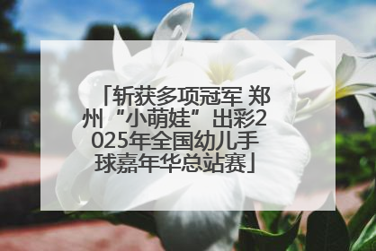 斩获多项冠军 郑州“小萌娃”出彩2025年全国幼儿手球嘉年华总站赛