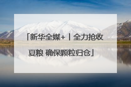 新华全媒+丨全力抢收夏粮 确保颗粒归仓