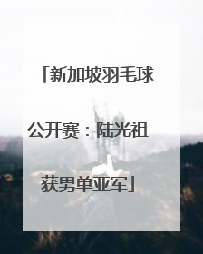新加坡羽毛球公开赛：陆光祖获男单亚军