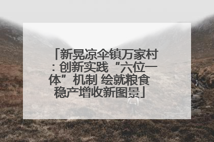 新晃凉伞镇万家村：创新实践“六位一体”机制 绘就粮食稳产增收新图景