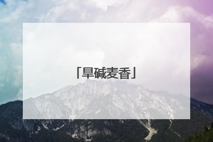 旱碱麦香