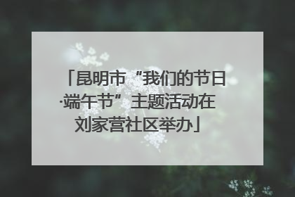 昆明市“我们的节日·端午节”主题活动在刘家营社区举办