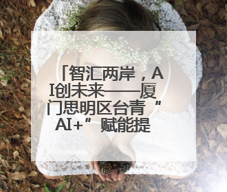 智汇两岸，AI创未来——厦门思明区台青“AI+”赋能提升计划启航