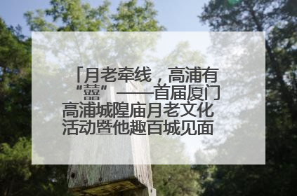 月老牵线，高浦有“囍”——首届厦门高浦城隍庙月老文化活动暨他趣百城见面会隆重举办