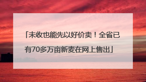 未收也能先以好价卖！全省已有70多万亩新麦在网上售出