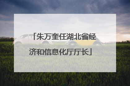 朱万奎任湖北省经济和信息化厅厅长