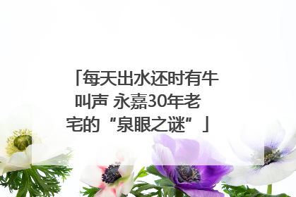 每天出水还时有牛叫声 永嘉30年老宅的“泉眼之谜”