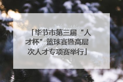 毕节市第三届“人才杯”篮球赛暨高层次人才专项赛举行