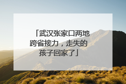武汉张家口两地跨省接力，走失的孩子回家了
