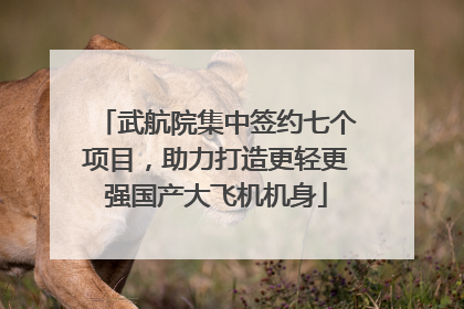 武航院集中签约七个项目，助力打造更轻更强国产大飞机机身