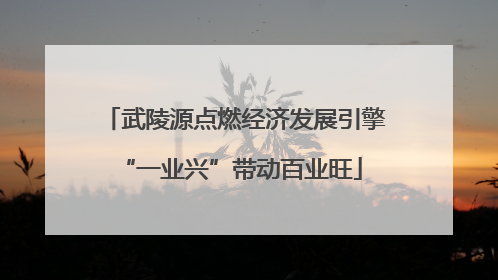 武陵源点燃经济发展引擎 “一业兴”带动百业旺