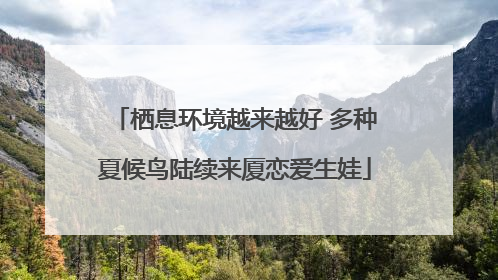 栖息环境越来越好 多种夏候鸟陆续来厦恋爱生娃