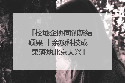 校地企协同创新结硕果 十余项科技成果落地北京大兴