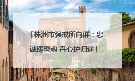 株洲市强戒所向群：忠诚铸警魂 丹心护归途
