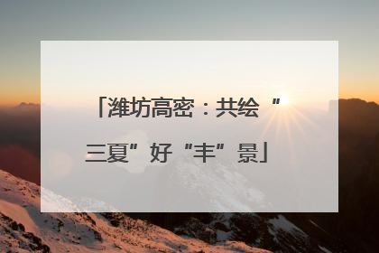 潍坊高密：共绘“三夏”好“丰”景