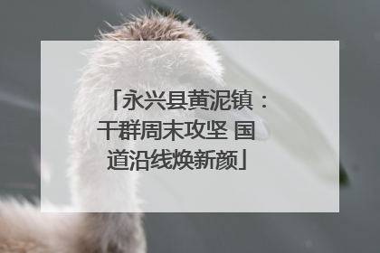 永兴县黄泥镇：干群周末攻坚 国道沿线焕新颜
