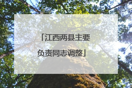 江西两县主要负责同志调整
