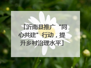 沂南县推广“同心共建”行动，提升乡村治理水平