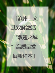 沧州：文武双脉激活“双遗之城”高质量发展新样本