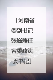 河南省委副书记张巍兼任省委政法委书记