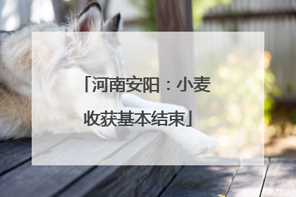 河南安阳：小麦收获基本结束