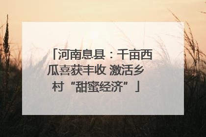 河南息县：千亩西瓜喜获丰收 激活乡村“甜蜜经济”