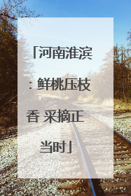 河南淮滨：鲜桃压枝香 采摘正当时