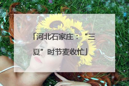 河北石家庄：“三夏”时节麦收忙