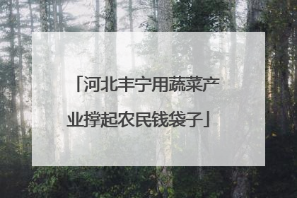 河北丰宁用蔬菜产业撑起农民钱袋子