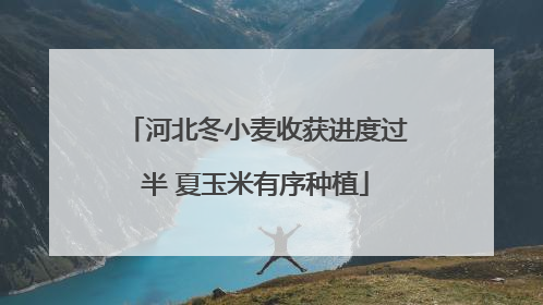 河北冬小麦收获进度过半 夏玉米有序种植