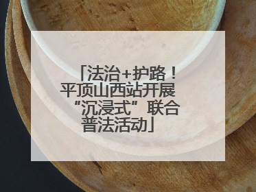 法治+护路！平顶山西站开展“沉浸式”联合普法活动