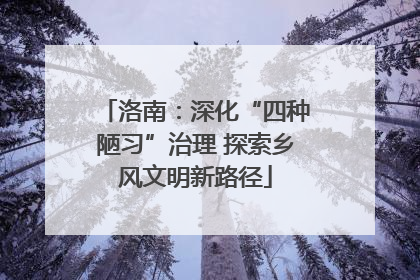洛南：深化“四种陋习”治理 探索乡风文明新路径
