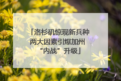 洛杉矶惊现新兵种 两大因素引爆加州“内战”升级