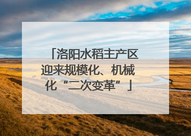 洛阳水稻主产区迎来规模化、机械化“二次变革”