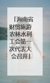 海南省财贸旅游农林水利工会第一次代表大会召开