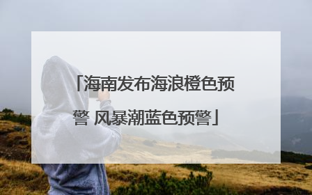 海南发布海浪橙色预警 风暴潮蓝色预警