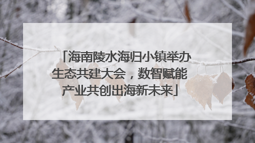 海南陵水海归小镇举办生态共建大会，数智赋能产业共创出海新未来