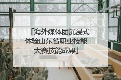 海外媒体团沉浸式体验山东省职业技能大赛技能成果