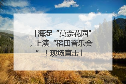 海淀“莫奈花园”，上演“稻田音乐会”！现场直击