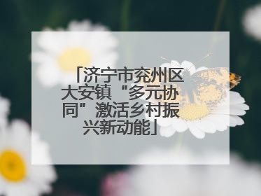 济宁市兖州区大安镇“多元协同”激活乡村振兴新动能