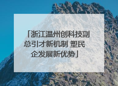 浙江温州创科技副总引才新机制 塑民企发展新优势